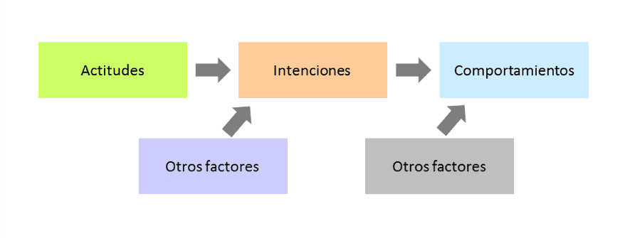 Relación entre actitudes, intenciones y comportamientos