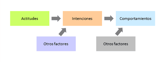 Relación entre actitudes, intenciones y comportamientos