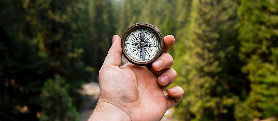 Tu propósito: tu camino y tu responsabilidad